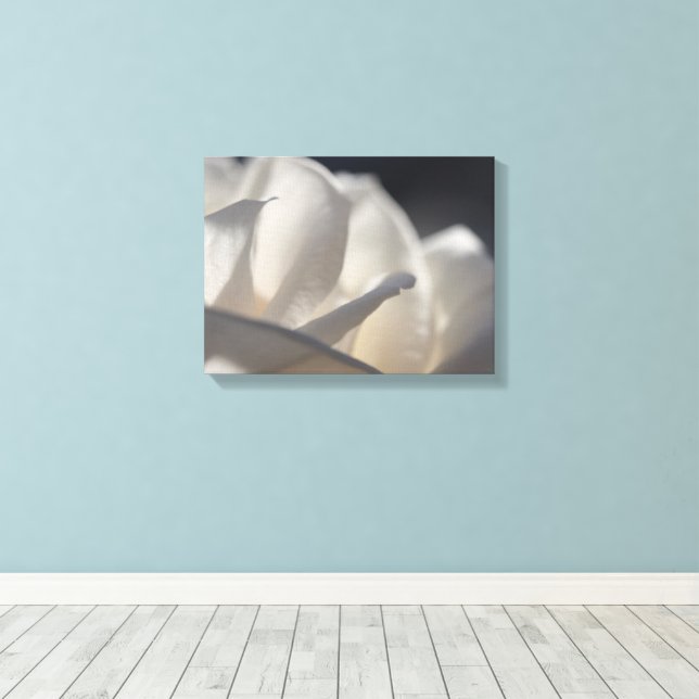 Blume von Rosenblättern Leinwanddruck (Insitu (Holzboden))