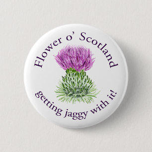 Blume von Schottland - erhalten jaggy mit ihr! Button