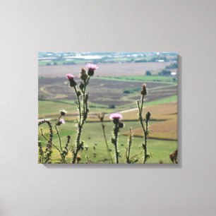 Blume von "The Mound" Platteville Wi Leinwanddruck
