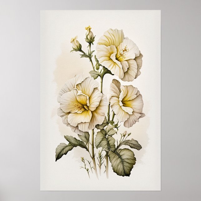 Blume von White Primrose Art Print Poster (Vorne)