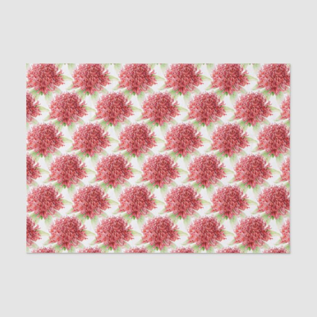 Blume Waratah Aquarell rotes botanisches Gewebepap Seidenpapier (Vorderseite)