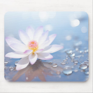 Blume Wasser Tropfen Natur Ruhe Mousepad