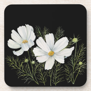 Blume Wasserfarbe Weißer Kosmos Botanische Malerei Getränkeuntersetzer
