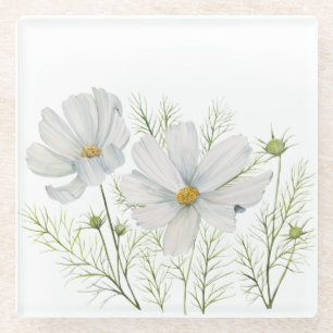 Blume Wasserfarbe Weißer Kosmos Botanische Malerei Glasuntersetzer