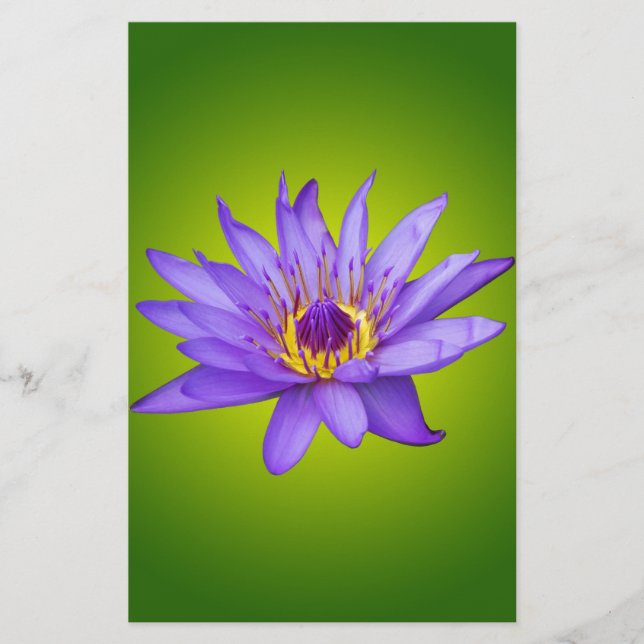 Blume Wasserlilie Wasserbecken Lila Wasser Blüte Briefpapier (Vorderseite)