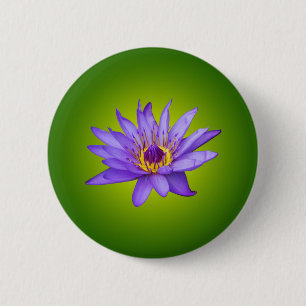 Blume Wasserlilie Wasserbecken Lila Wasser Blüte Button