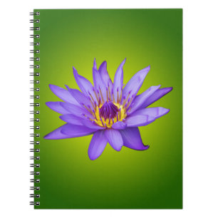 Blume Wasserlilie Wasserbecken Lila Wasser Blüte Notizblock