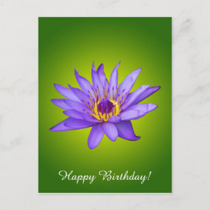 Blume Wasserlilie Wasserbecken Lila Wasser Blüte Postkarte