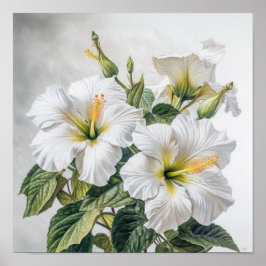 Blume Weißer Hibiskus Art Print Poster