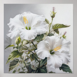 Blume Weißer Hibiskus Art Print Poster