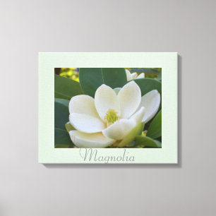 Blume Weißes Magnolia Kunst, Dichtung und Musik Leinwanddruck