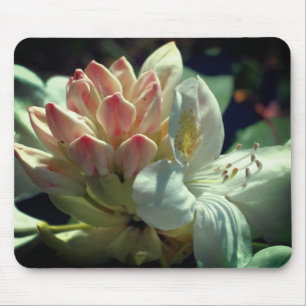 Blume White Azalea Mousepad