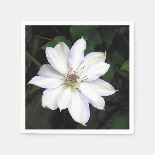 Blume White Clematis Serviette (Vorderseite)