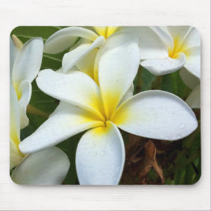 Blume White Hawaii Plumeria Mousepad