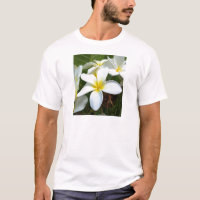 Blume White Hawaii Plumeria