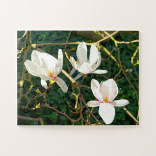 Blume White Magnolia
