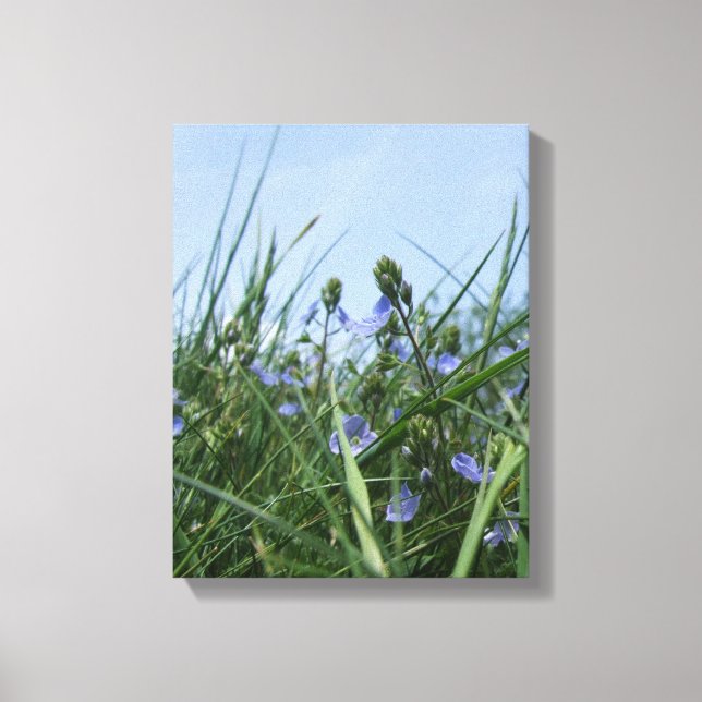 Blume Wiese Canvas Print Leinwanddruck (Vorderseite)