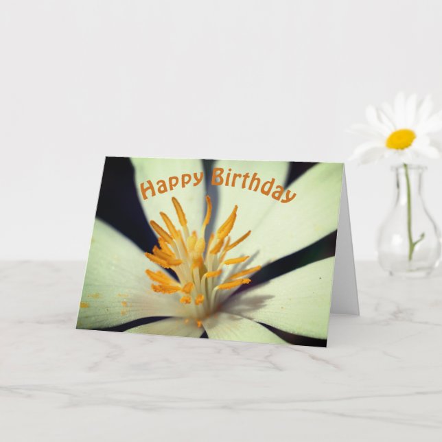Blume-Zentrum für Blutwurzeln Geburtstag Karte (Kleine Pflanze)