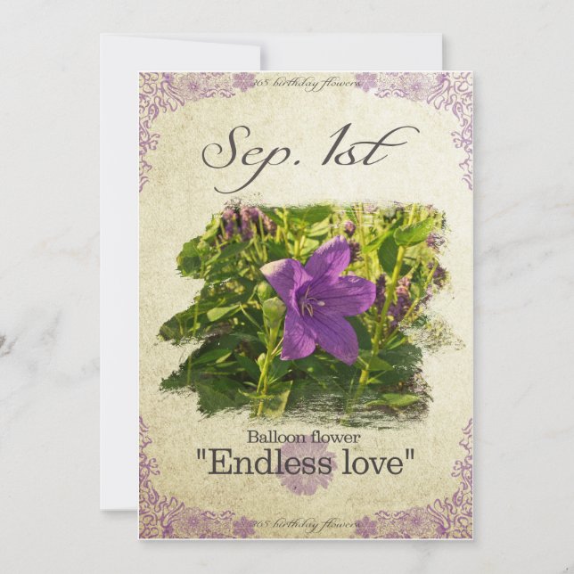 Blume zum 1. September "Ballon Blume" Karte (Vorderseite)