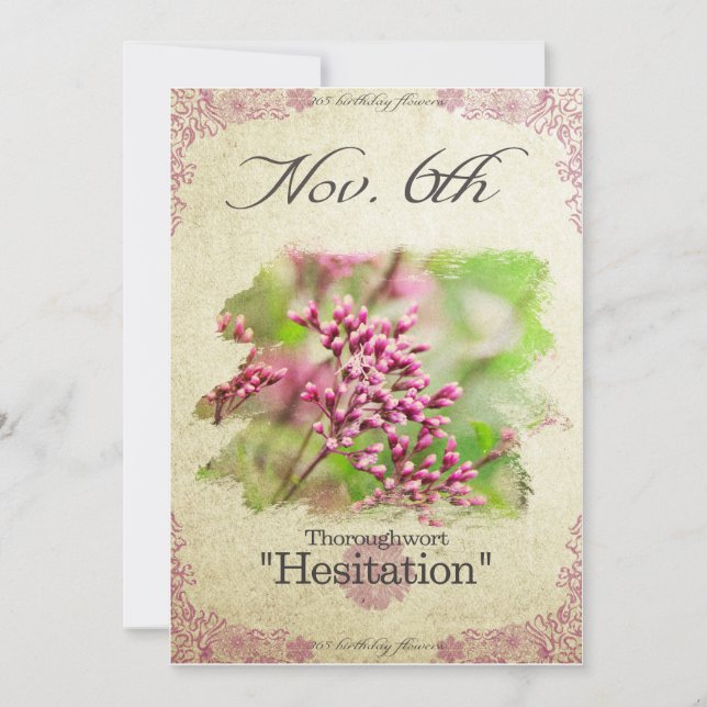 Blume zum 6. November "Thoroughwort" Karte (Vorderseite)