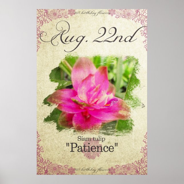 Blume zum August 22. "Siam tulip" Poster (Vorne)