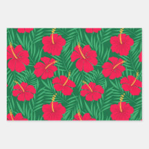 Blume zum Roten Hibiskus auf den tropischen grünen