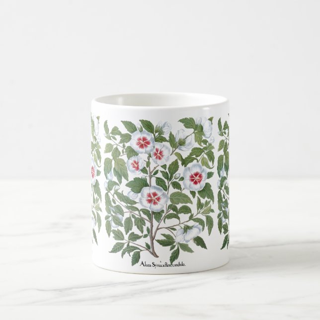 Blume zum Vintagen Hibiskus von Basilius Besler Kaffeetasse (Mittel)