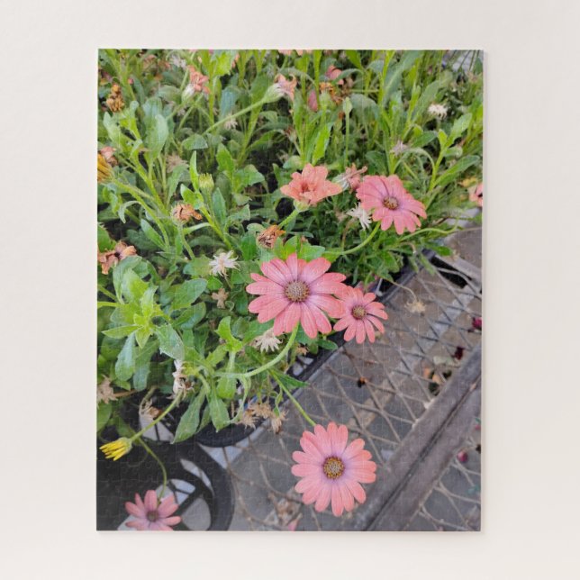 Blumen  (Vertikal)