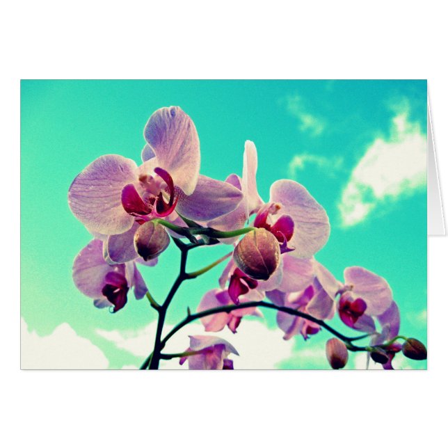 Blumen (Vorderseite (Horizontal))