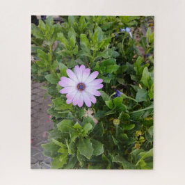Blumen