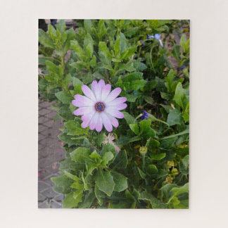 Blumen