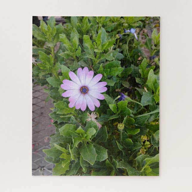 Blumen  (Vertikal)