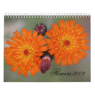 Blumen 2009 kalender
