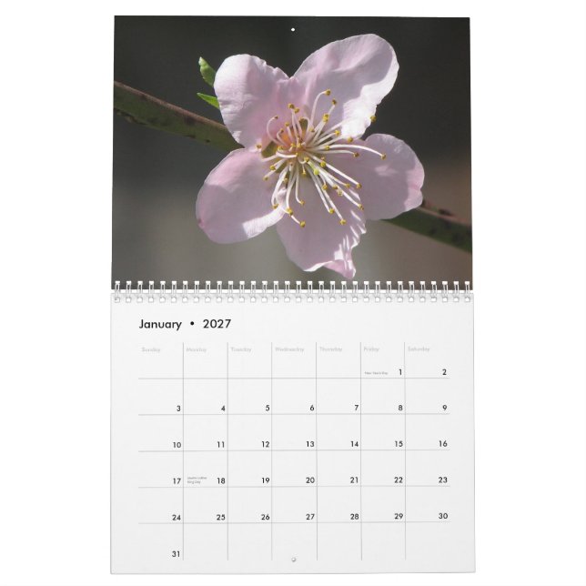 Blumen 2011 kalender (Jan 2027)