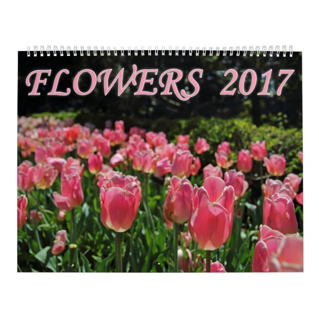 Blumen 2017 kalender (Titelbild)