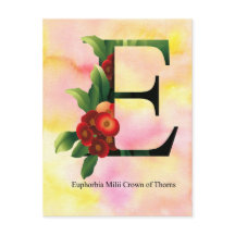 Blumen-Alphabet mit Watercolor-Hintergrund