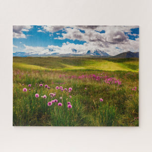 Blumen   Altai, Sibirien, Russland