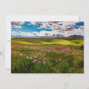 Blumen Altai, Sibirien, Russland Dankeskarte