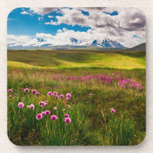 Blumen   Altai, Sibirien, Russland Getränkeuntersetzer