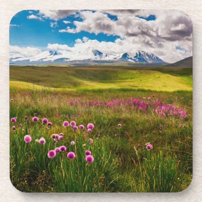 Blumen | Altai, Sibirien, Russland Getränkeuntersetzer (Vorderseite)