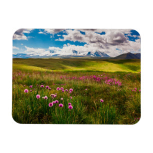 Blumen Altai, Sibirien, Russland Magnet