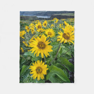 Blumen Balsomroot Columbia River, Oregon Fleecedecke