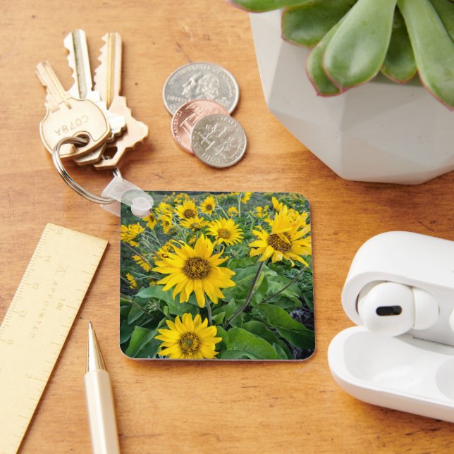 Blumen | Balsomroot Columbia River, Oregon Schlüsselanhänger (Schreibtisch)