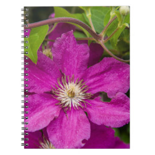 Blumen Bei Robinette's Apfelhaus & Geschenkescheun Notizblock