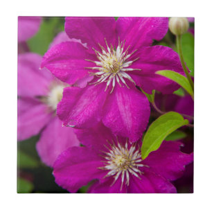 Blumen bei Robinette's Apple Haus und Geschenkstal Fliese