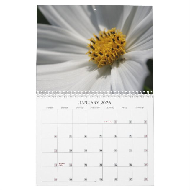 Blumen-Bilder Kalender (Jan 2026)