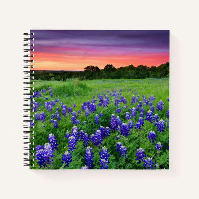 Blumen | Bluebonnets bei Sunset Texas Notizbuch (Vorderseite)