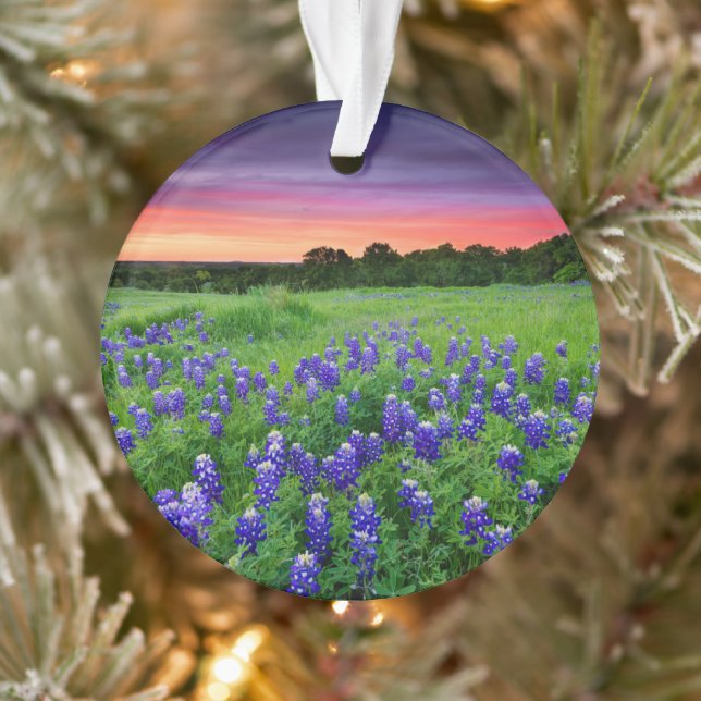 Blumen | Bluebonnets bei Sunset Texas Ornament (Baum)