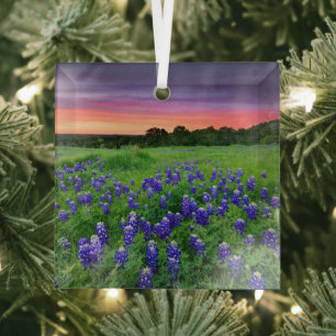 Blumen Bluebonnets bei Sunset Texas Ornament Aus Glas