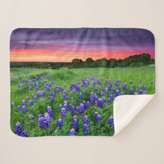 Blumen | Bluebonnets bei Sunset Texas Sherpadecke (Vorderseite (Horizontal))